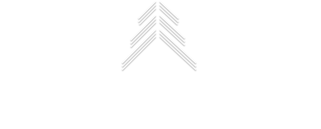 Brothers More Stainless Logo