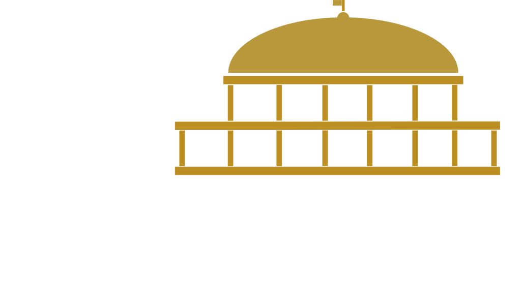 FedSOLVER Logo White Letters