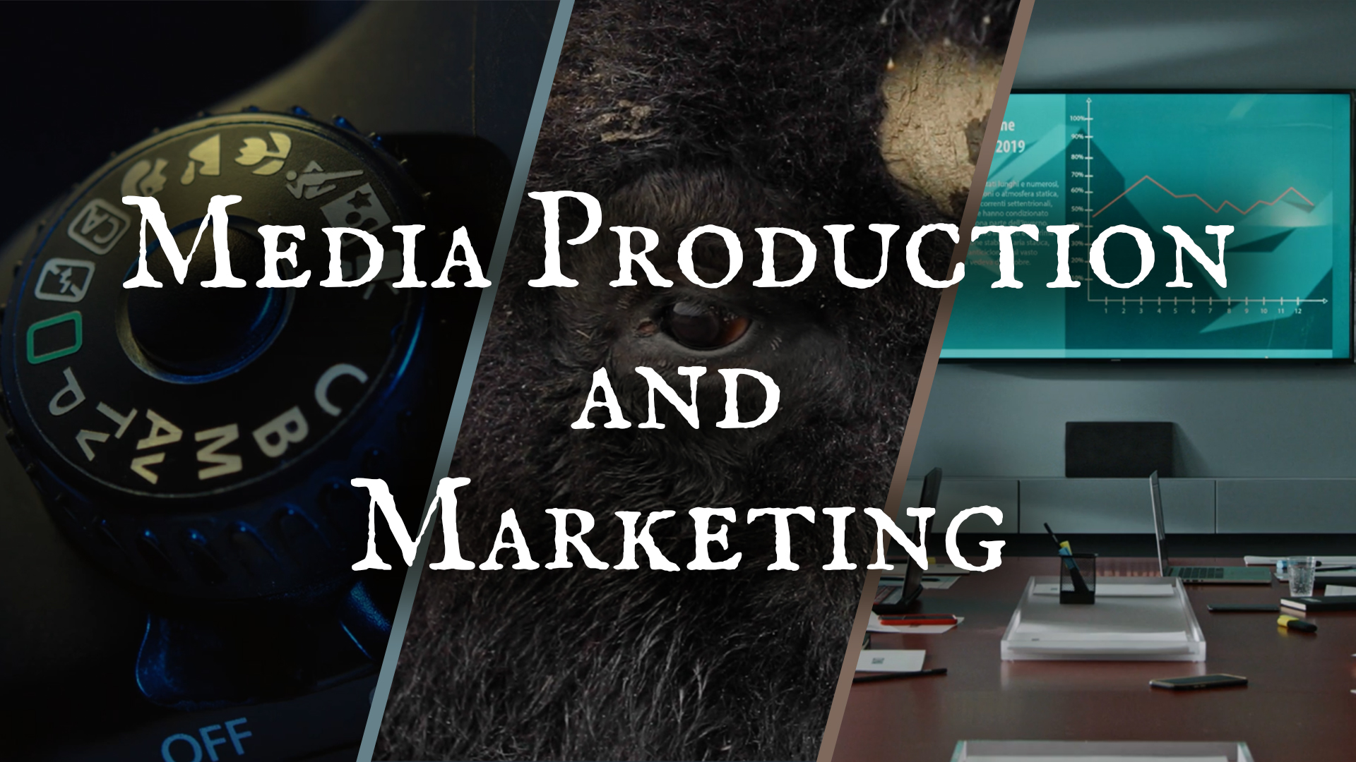 Media Production and Marketing Graphic